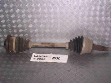 Lancia y dal 2004 al 2010 semiasse corto