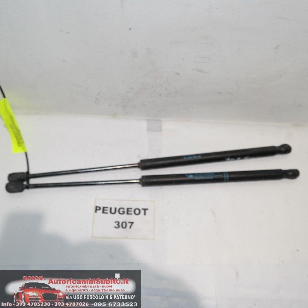 Peugeot 307 dal 2003 al 2008 pistoncini cofano