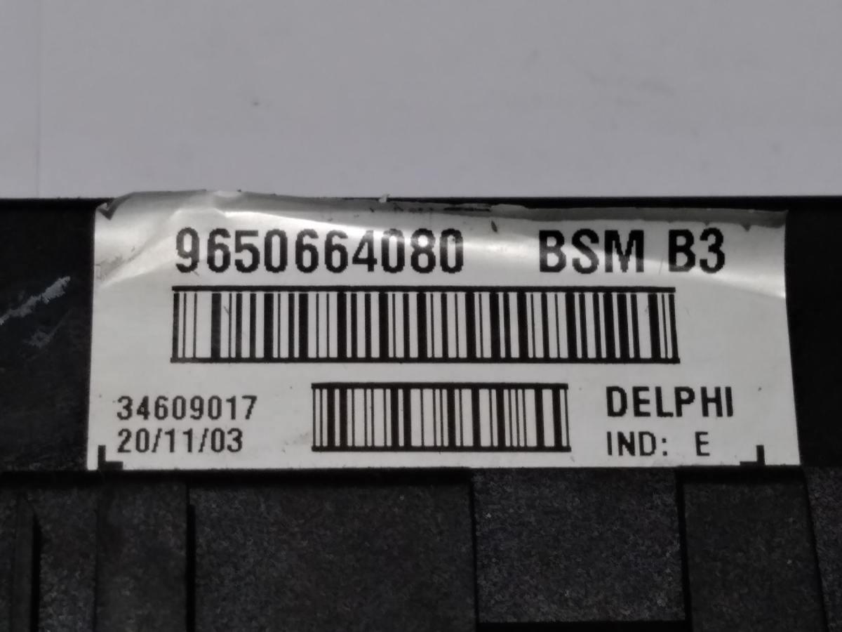 9650664080 SCATOLA FUSIBILI PEUGEOT 307 <br />