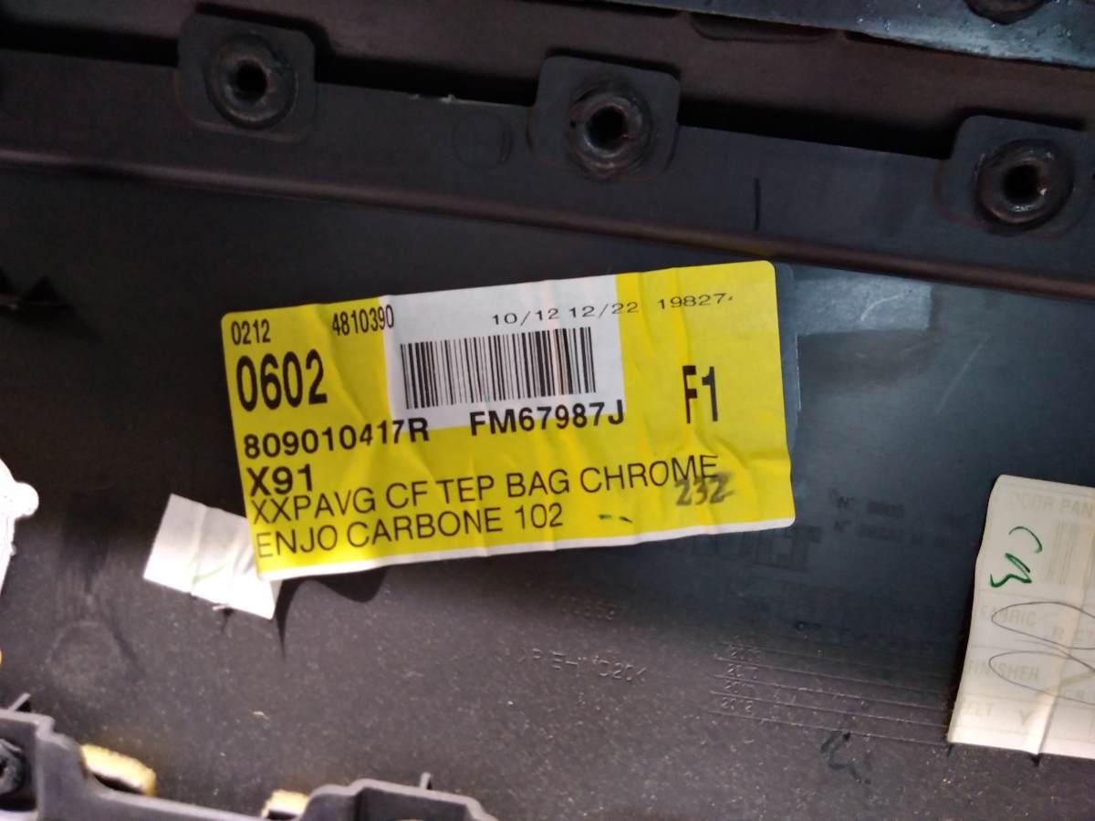 809010417R PANNELLO SPORTELLO ANT SX RENAULT LAGUNA 2.0 CDI <br />