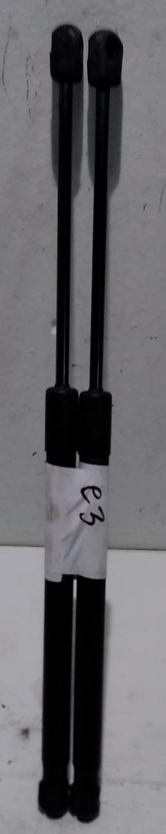 PISTONCINI COFANO POST CITROEN C3   00008731G3<br /><br /><br />
