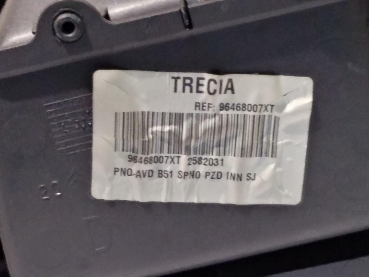 PANNELLO PORTIERA ANT DX CITROEN C4 2007 96468007XT<br /><br />