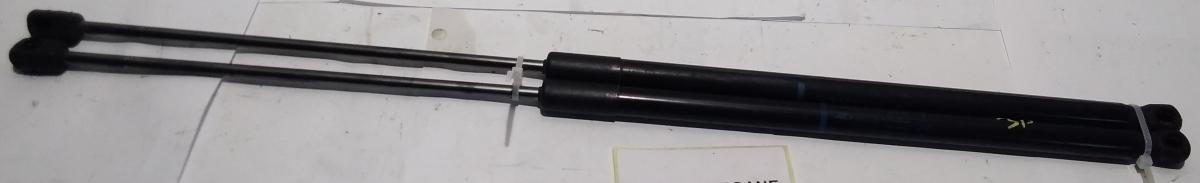 PISTONCINI COFANO POSTERIORE RENAULT MEGANE 1.5 DCI 2012  904510002R<br /><br /><br />