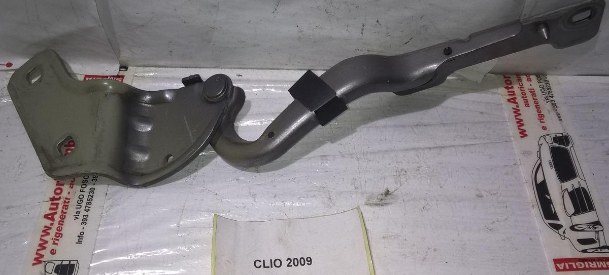 8200719034 cerniera cofano dx RENAULT CLIO 2011 <br />