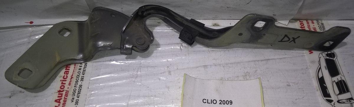 8200719034 cerniera cofano dx RENAULT CLIO 2011 <br />