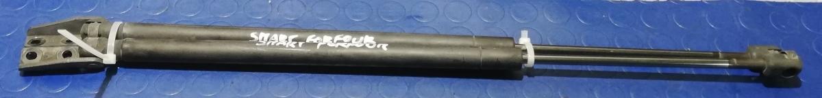 PISTONCINI COFANO SMART FORFOUR 1.1 W454 A4547400145<br /><br /><br />