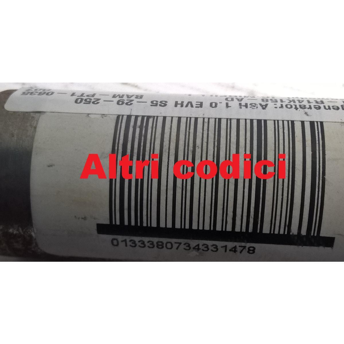 tendina airbag sx ford c max 1557363