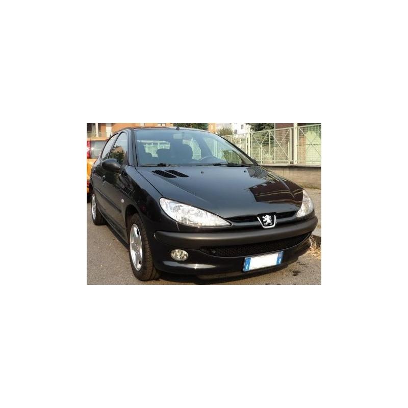 alzacristallo ant sx peugeot 206 9221E7