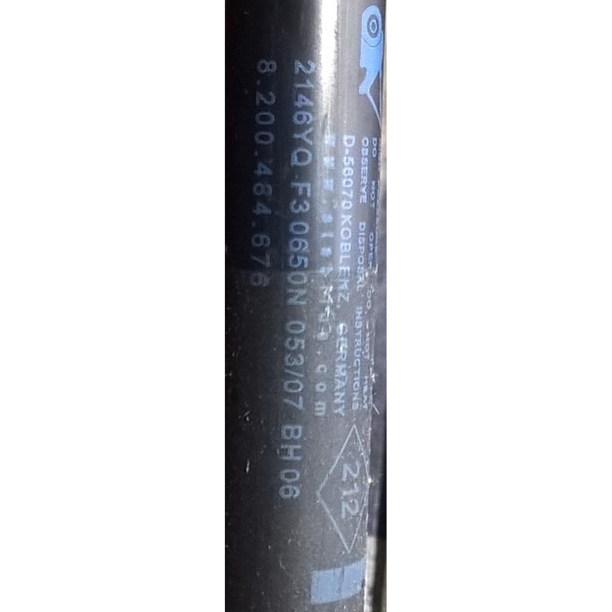 pistoncini cofano renault scenic 2005 8200484676