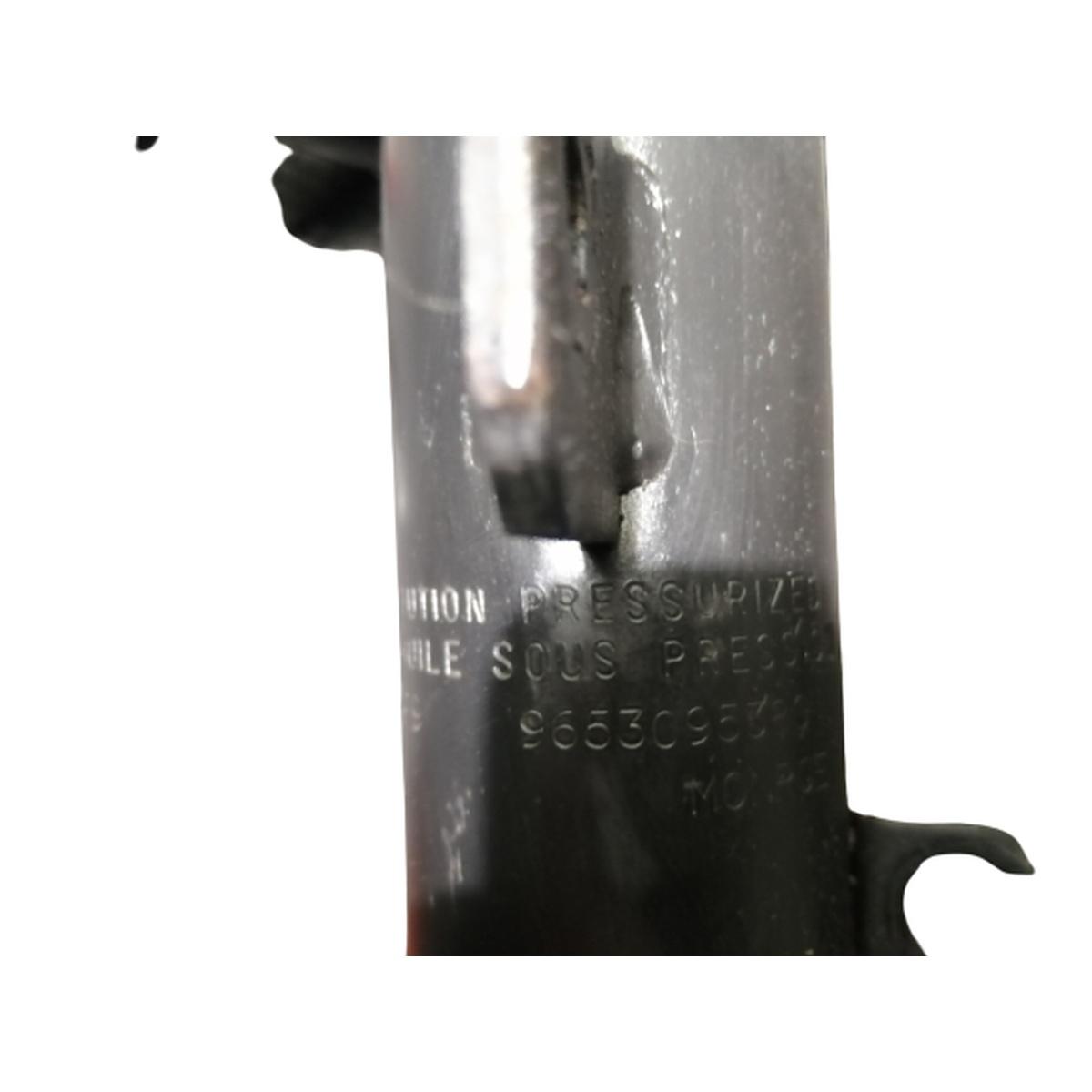 ammortizzatore ant dx citroen c3 2005 9653095380