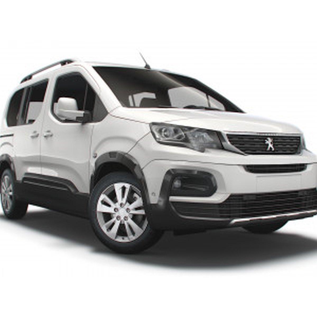 Barre portatutto professional citroen berlingo