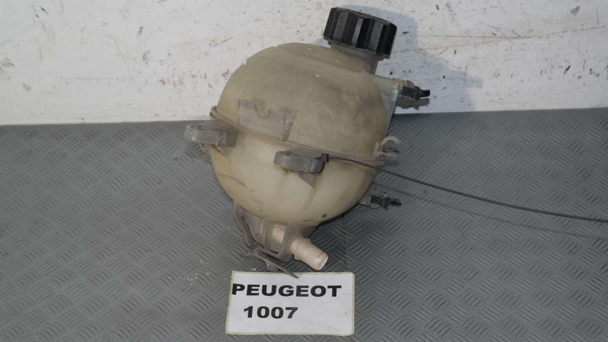Peugeot 1007 vaschetta acqua radiatore