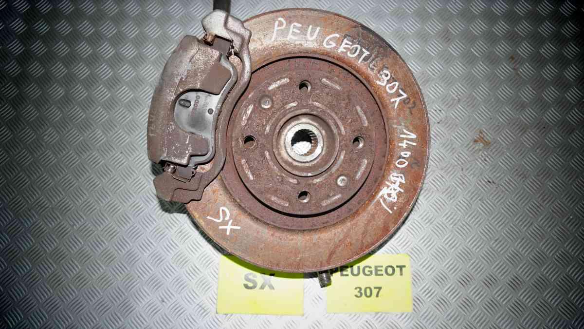 Peugeot 307 1400 hdi dal 2003 al 2008 montante sx