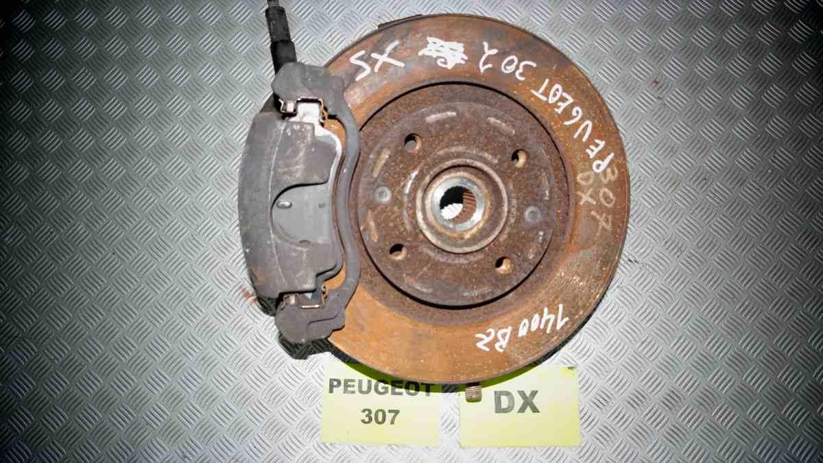 Peugeot 307 1400 bz dal 2003 al 2008 montante sx