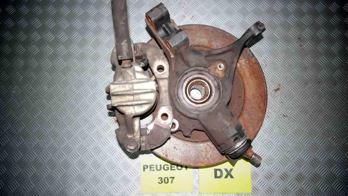 Peugeot 307 1400 hdi dal 2003 al 2008 montante dx