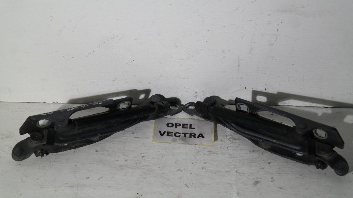 Opel vectra dal 2000 al 2005 cerniere cofano posteriori
