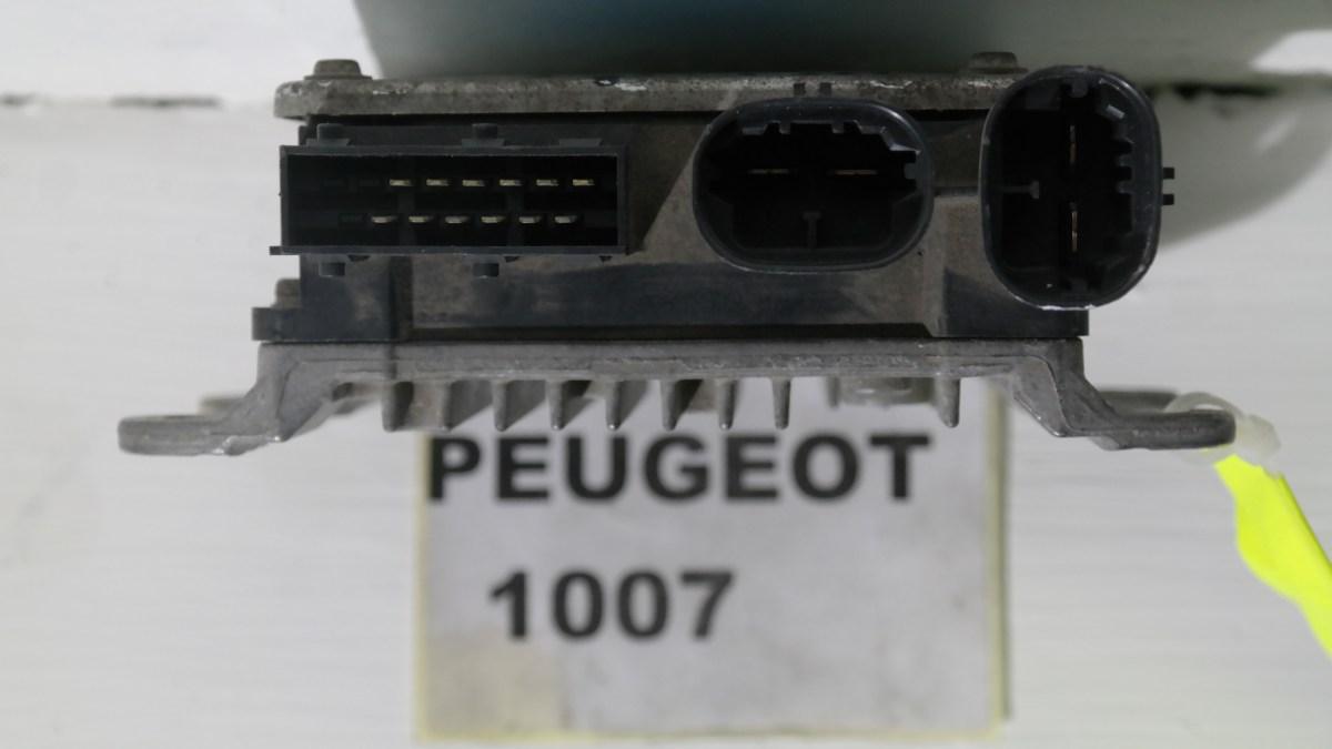 Peugeot 1007 9655460380 centralina elettroguida psa